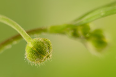 Similar image 15919435