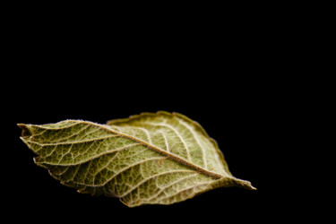 Similar image 15919481