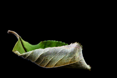 Similar image 15919485