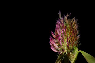 Similar image 15919488