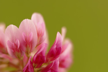 Similar image 15919491