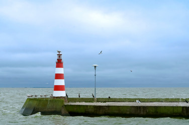 Similar image 16220717