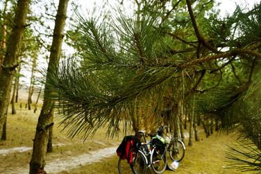 Similar image 16221266