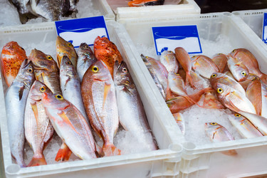 Similar image 15914008