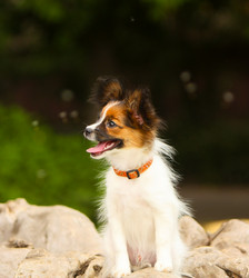 Similar image 15923138