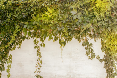 Similar image 15919628