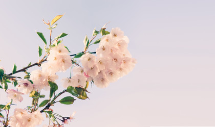 Similar image 15919631