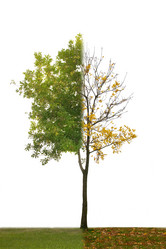 Similar image 15919633