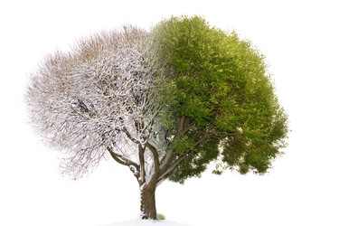 Similar image 15919638