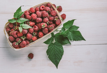 Similar image 15919670