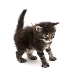 Similar image 15919614