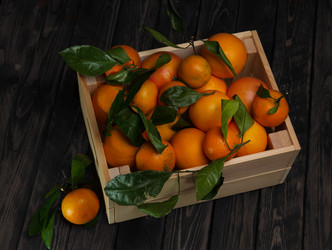 Similar image 15919616