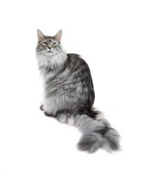 Similar image 15919629