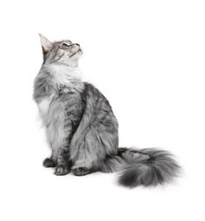 Similar image 15919634