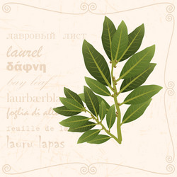 Similar image 15925456