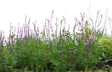 Similar image 15919645