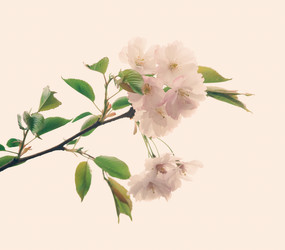 Similar image 15919752