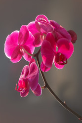 Similar image 15915500