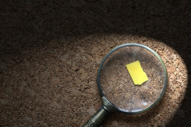 Similar image 15918729