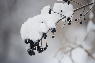 Similar image 15915973