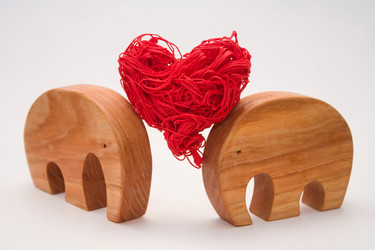 Similar image 15916007