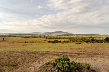 Similar image 15914081