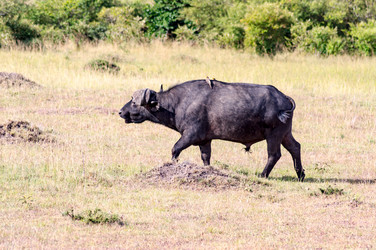 Similar image 15914085