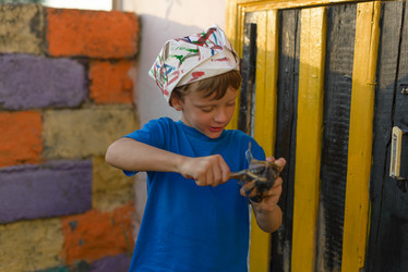 Similar image 15929152