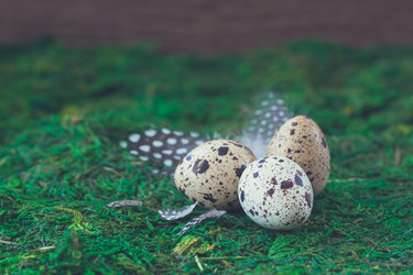 Similar image 15928870