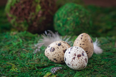 Similar image 15928873