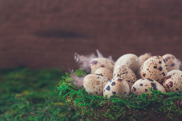 Similar image 15928885