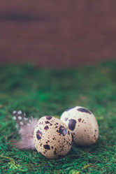 Similar image 15928887