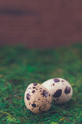 Similar image 15928888