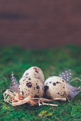 Similar image 15928874