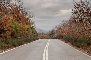 Similar image 15925639