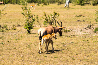 Similar image 15914089