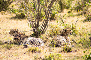 Similar image 15914090