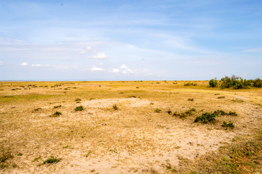 Similar image 15914091