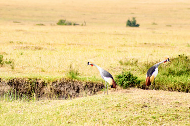 Similar image 15914094