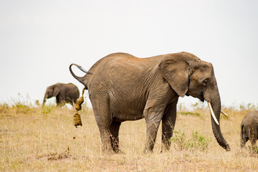 Similar image 15914096