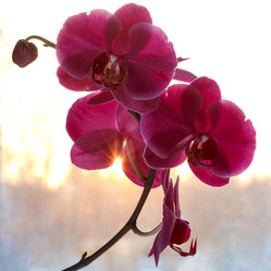 Similar image 15915504