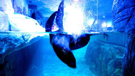 Similar image 15923152