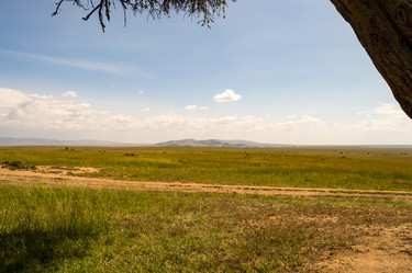 Similar image 15916227