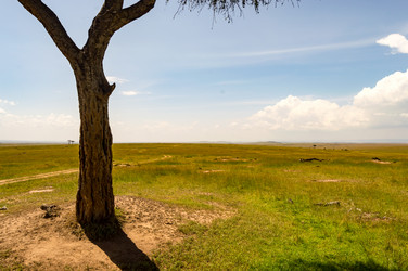 Similar image 15916228