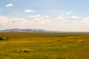 Similar image 15916229