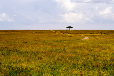 Similar image 15916230