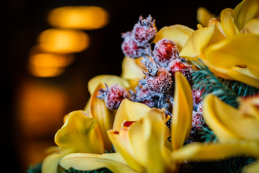 Similar image 15923157