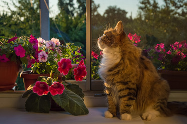 Similar image 15915649