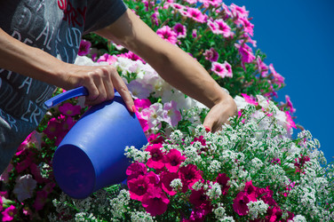 Similar image 15915655