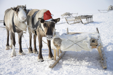 Similar image 15915360